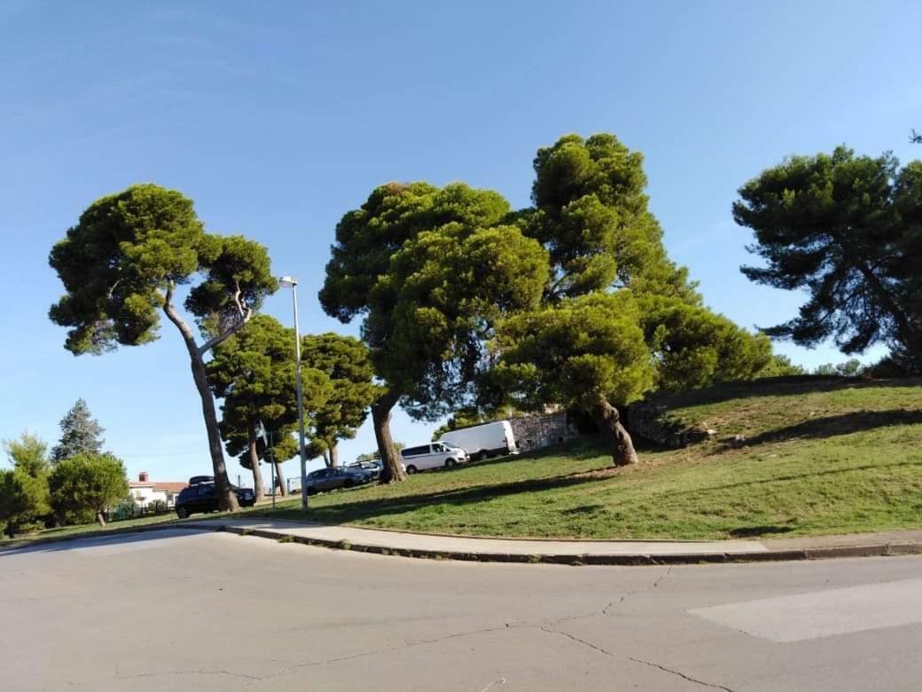 Apartman Miki Pula Dış mekan fotoğraf